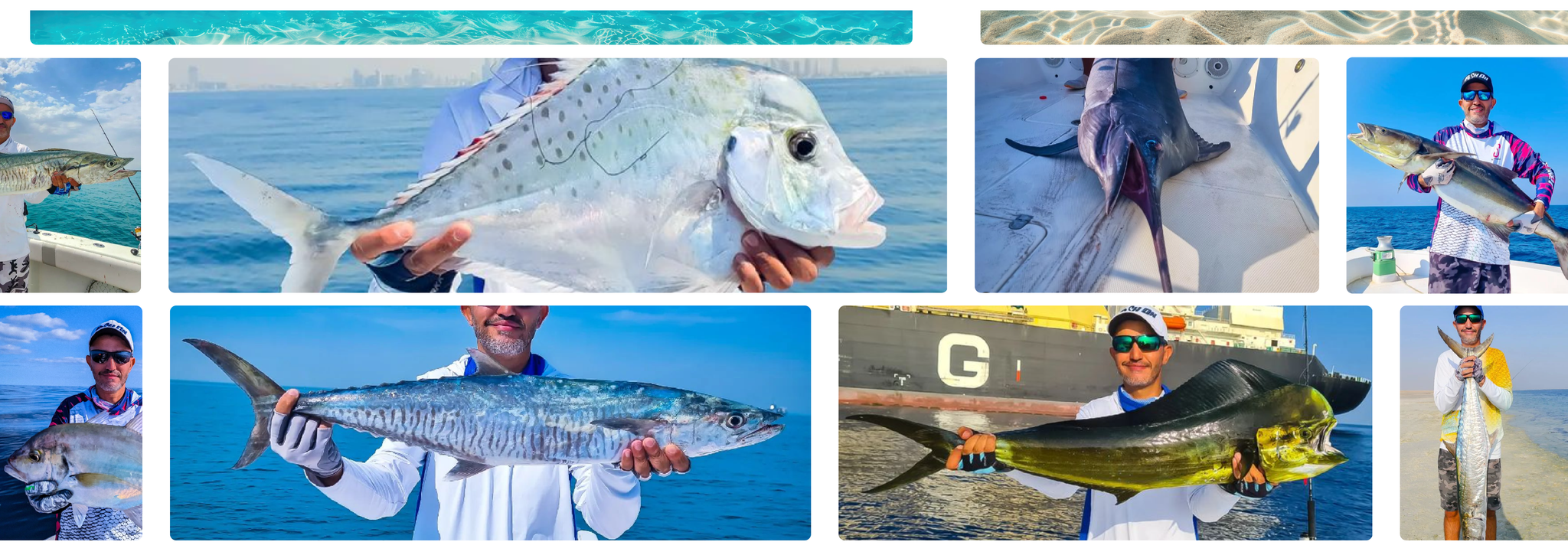 Fishon-Fishing Blog | Fishon-Fishing News, Tips & Articles | Fishon News