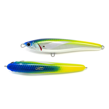 Jack fin Pelagus 165-F